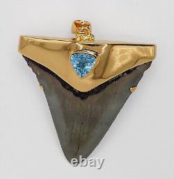 Fossil Shark Tooth Pendant Megalodon Tooth with 24 K Gold Over Sterling Silver