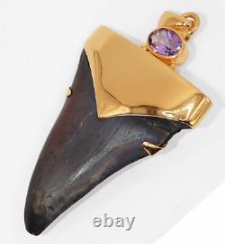 Fossil Shark Tooth Pendant Megalodon Tooth with 24 K Gold Over Sterling Silver