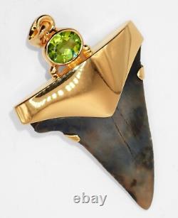 Fossil Shark Tooth Pendant Megalodon Tooth with 24 K Gold Over Sterling Silver