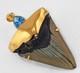 Fossil Shark Tooth Pendant Megalodon Tooth With 24 K Gold Over Sterling Silver