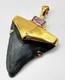 Fossil Shark Tooth Pendant Megalodon Tooth With 24 K Gold Over Sterling Silver
