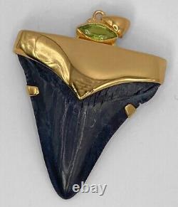 Fossil Shark Tooth Pendant Megalodon Tooth with 24 K Gold Over Sterling Silver