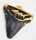 Fossil Shark Tooth Pendant Megalodon Tooth With 24 K Gold Over Sterling Silver