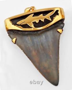 Fossil Shark Tooth Pendant Megalodon Tooth with 24 K Gold Over Sterling Silver