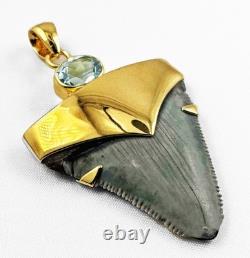 Fossil Shark Tooth Pendant Megalodon Tooth with 24 K Gold Over Sterling Silver