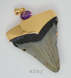 Fossil Shark Tooth Pendant Megalodon Tooth with 24 K Gold Over Sterling Silver