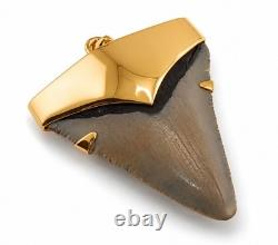 Fossil Shark Tooth Pendant Megalodon Tooth with 24 K Gold Over Sterling Silver