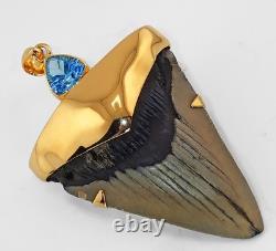Fossil Shark Tooth Pendant Megalodon Tooth with 24 K Gold Over Sterling Silver