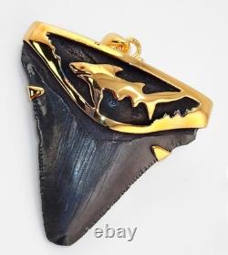 Fossil Shark Tooth Pendant Megalodon Tooth with 24 K Gold Over Sterling Silver