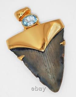 Fossil Shark Tooth Pendant Megalodon Tooth with 24 K Gold Over Sterling Silver