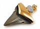 Fossil Shark Tooth Pendant Megalodon Tooth With 24 K Gold Over Sterling Silver