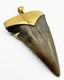 Fossil Shark Tooth Pendant Megalodon Tooth With 24 K Gold Over Sterling Silver