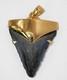 Fossil Shark Tooth Pendant Megalodon Tooth With 24 K Gold Over Sterling Silver