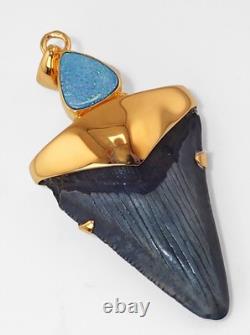 Fossil Shark Tooth Pendant Megalodon Tooth with 24 K Gold Over Sterling Silver