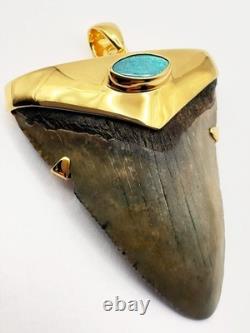 Fossil Shark Tooth Pendant Megalodon Tooth with 24 K Gold Over Sterling Silver