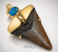 Fossil Shark Tooth Pendant Megalodon Tooth with 24 K Gold Over Sterling Silver