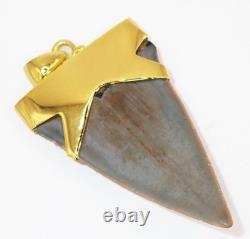 Fossil Shark Tooth Pendant Megalodon Tooth with 24 K Gold Over Sterling Silver