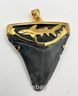 Fossil Shark Tooth Pendant Megalodon Tooth with 24 K Gold Over Sterling Silver
