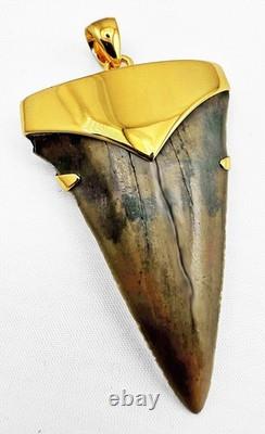 Fossil Shark Tooth Pendant Megalodon Tooth with 24 K Gold Over Sterling Silver Fossil Shark Tooth Pendant Megalodon Tooth with 24 K Gold Over Sterling Silver