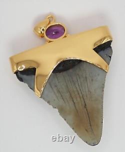 Fossil Shark Tooth Pendant Megalodon Tooth with 24 K Gold Over Sterling Silver