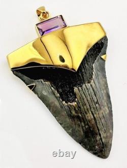 Fossil Shark Tooth Pendant Megalodon Tooth with 24 K Gold Over Sterling Silver