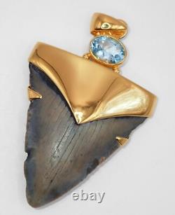 Fossil Shark Tooth Pendant Megalodon Tooth with 24 K Gold Over Sterling Silver