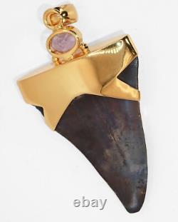 Fossil Shark Tooth Pendant Megalodon Tooth with 24 K Gold Over Sterling Silver