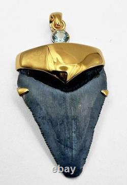 Fossil Shark Tooth Pendant Megalodon Tooth with 24 K Gold Over Sterling Silver