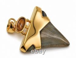 Fossil Shark Tooth Pendant Megalodon Tooth with 24 K Gold Over Sterling Silver