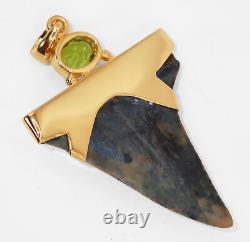 Fossil Shark Tooth Pendant Megalodon Tooth with 24 K Gold Over Sterling Silver