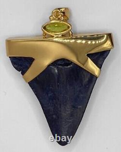 Fossil Shark Tooth Pendant Megalodon Tooth with 24 K Gold Over Sterling Silver