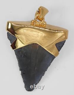 Fossil Shark Tooth Pendant Megalodon Tooth with 24 K Gold Over Sterling Silver