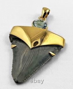 Fossil Shark Tooth Pendant Megalodon Tooth with 24 K Gold Over Sterling Silver