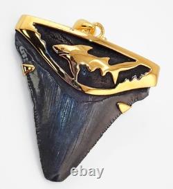 Fossil Shark Tooth Pendant Megalodon Tooth with 24 K Gold Over Sterling Silver