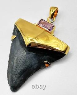 Fossil Shark Tooth Pendant Megalodon Tooth with 24 K Gold Over Sterling Silver