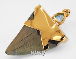 Fossil Shark Tooth Pendant Megalodon Tooth with 24 K Gold Over Sterling Silver