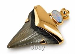 Fossil Shark Tooth Pendant Megalodon Tooth with 24 K Gold Over Sterling Silver