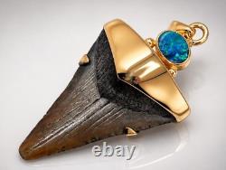 Fossil Shark Tooth Pendant Megalodon Tooth with 24 K Gold Over Sterling Silver