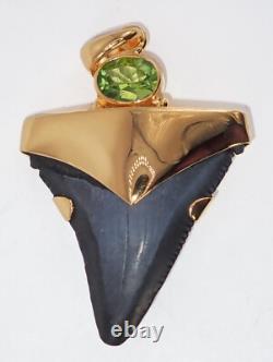Fossil Shark Tooth Pendant Megalodon Tooth with 24 K Gold Over Sterling Silver
