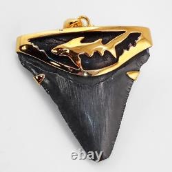 Fossil Shark Tooth Pendant Megalodon Tooth with 24 K Gold Over Sterling Silver