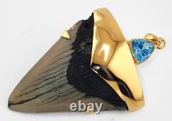 Fossil Shark Tooth Pendant Megalodon Tooth with 24 K Gold Over Sterling Silver