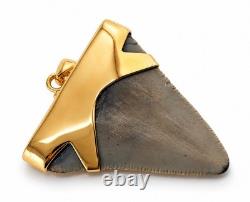 Fossil Shark Tooth Pendant Megalodon Tooth with 24 K Gold Over Sterling Silver