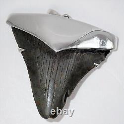 Fossil Shark Tooth Pendant Megalodon Tooth with Sterling Silver Cap, Meg Teeth