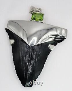 Fossil Shark Tooth Pendant Megalodon Tooth with Sterling Silver Cap, Meg Teeth