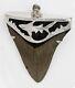 Fossil Shark Tooth Pendant Megalodon Tooth With Sterling Silver Cap, Meg Teeth