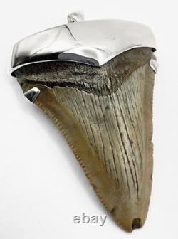 Fossil Shark Tooth Pendant Megalodon Tooth with Sterling Silver Cap, Meg Teeth
