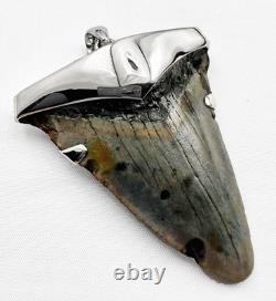Fossil Shark Tooth Pendant Megalodon Tooth with Sterling Silver Cap, Meg Teeth