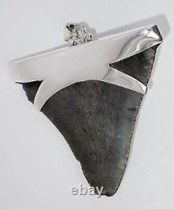 Fossil Shark Tooth Pendant Megalodon Tooth with Sterling Silver Cap, Meg Teeth