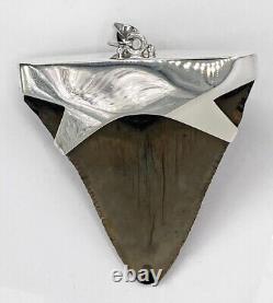 Fossil Shark Tooth Pendant Megalodon Tooth with Sterling Silver Cap, Meg Teeth
