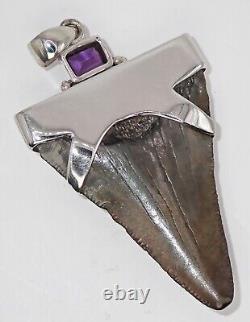 Fossil Shark Tooth Pendant Megalodon Tooth with Sterling Silver Cap, Meg Teeth